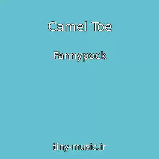 کاور آهنگ Camel Toe از Fannypock