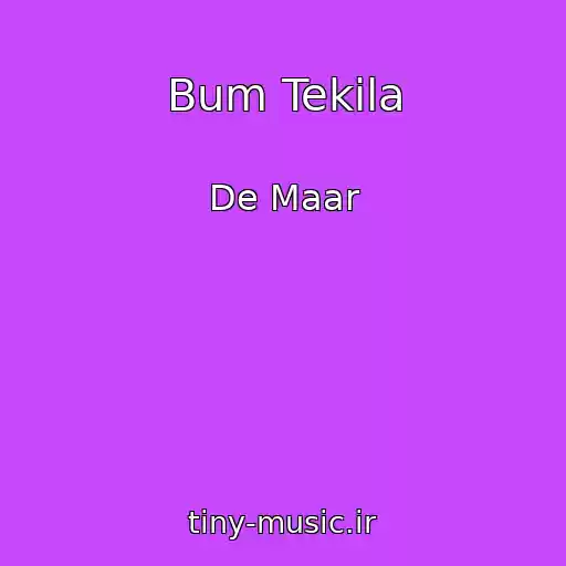 کاور آهنگ Bum Tekila از De Maar
