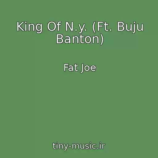 کاور آهنگ King Of N.y. (Ft. Buju Banton) از Fat Joe