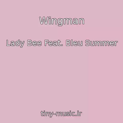 کاور آهنگ Wingman از Lady Bee Feat. Bleu Summer