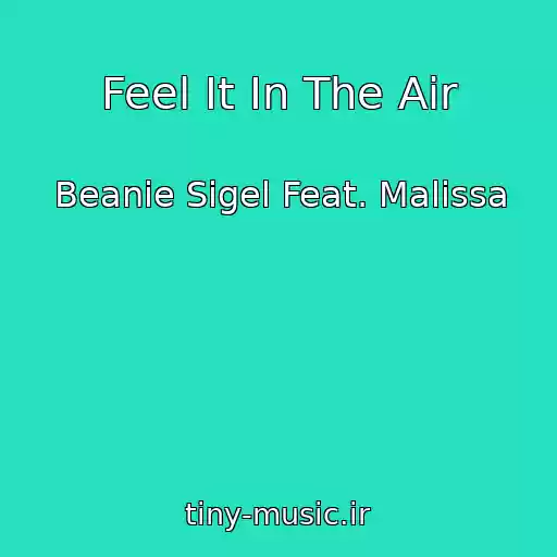 کاور آهنگ Feel It In The Air از Beanie Sigel Feat. Malissa