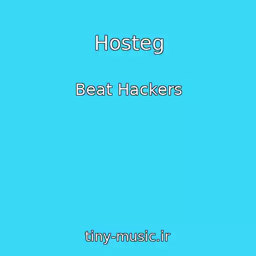 کاور آهنگ Hosteg از Beat Hackers