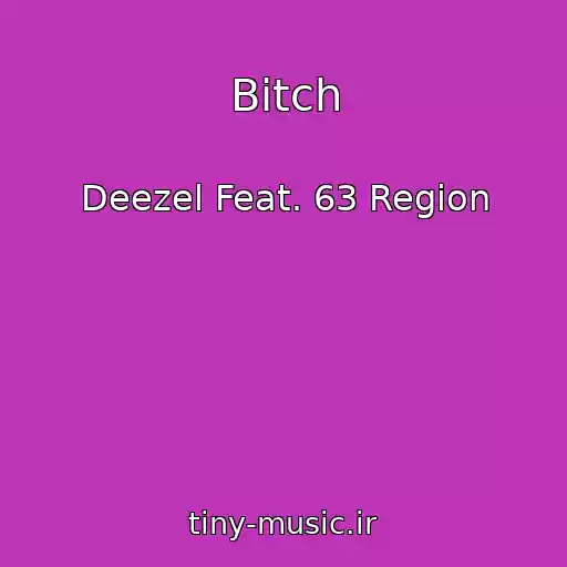 کاور آهنگ Bitch از Deezel Feat. 63 Region