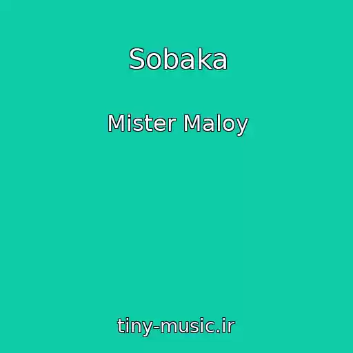 کاور آهنگ Sobaka از Mister Maloy