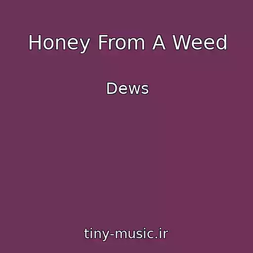 کاور آهنگ Honey From A Weed از Dews