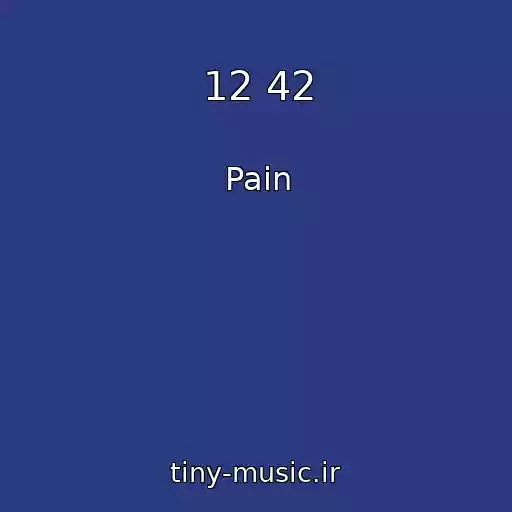 کاور آهنگ 12 42 از Pain