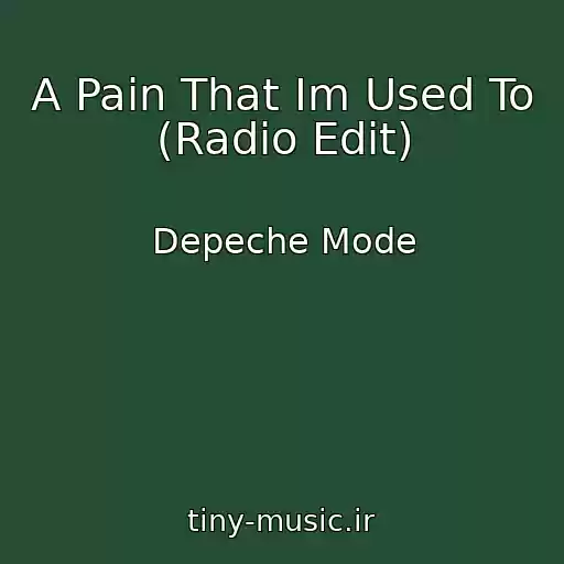 کاور آهنگ A Pain That Im Used To (Radio Edit) از Depeche Mode