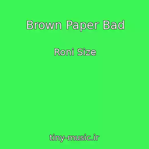 کاور آهنگ Brown Paper Bad از Roni Size