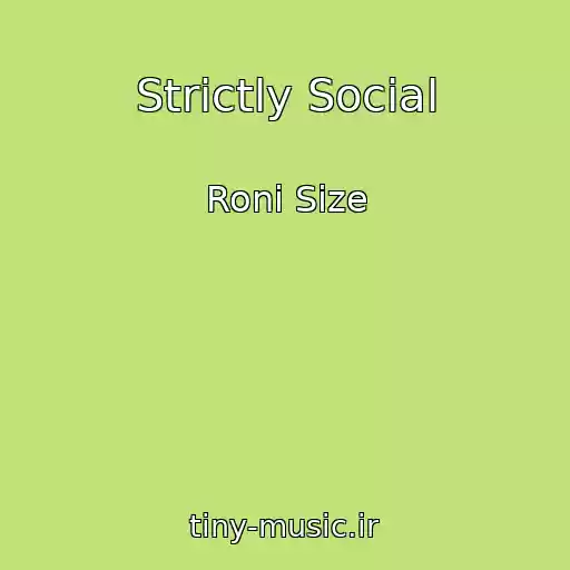 کاور آهنگ Strictly Social از Roni Size