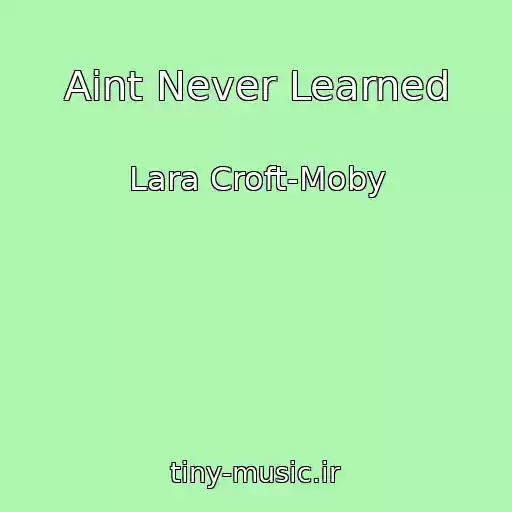 کاور آهنگ Aint Never Learned از Lara Croft-Moby