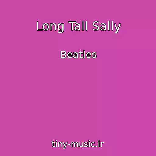 کاور آهنگ Long Tall Sally از Beatles