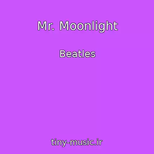 کاور آهنگ Mr. Moonlight از Beatles