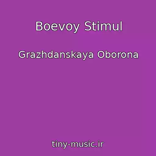 کاور آهنگ Boevoy Stimul از Grazhdanskaya Oborona