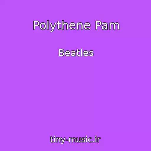 کاور آهنگ Polythene Pam از Beatles