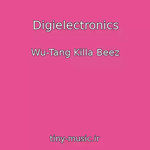 کاور آهنگ Digielectronics از Wu-Tang Killa Beez
