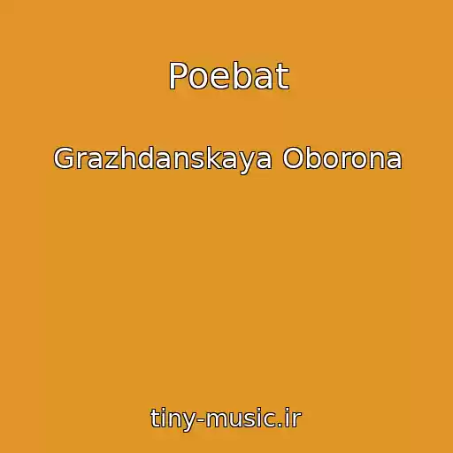 کاور آهنگ Poebat از Grazhdanskaya Oborona