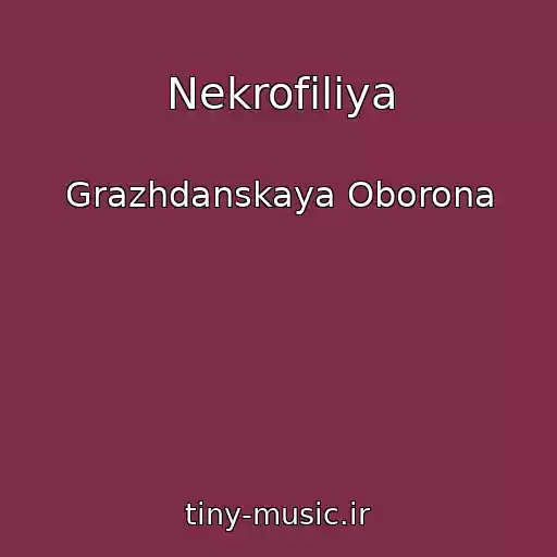 کاور آهنگ Nekrofiliya از Grazhdanskaya Oborona