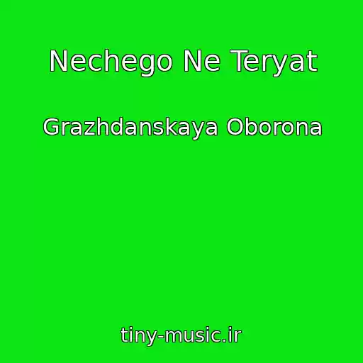 کاور آهنگ Nechego Ne Teryat از Grazhdanskaya Oborona