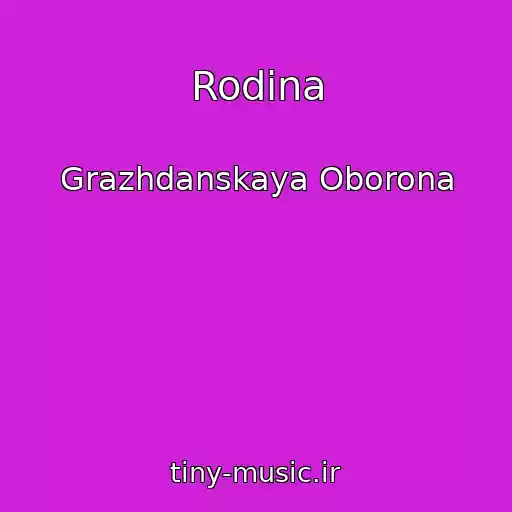 کاور آهنگ Rodina از Grazhdanskaya Oborona