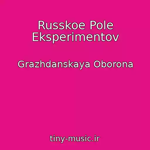 کاور آهنگ Russkoe Pole Eksperimentov از Grazhdanskaya Oborona