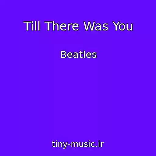 کاور آهنگ Till There Was You از Beatles