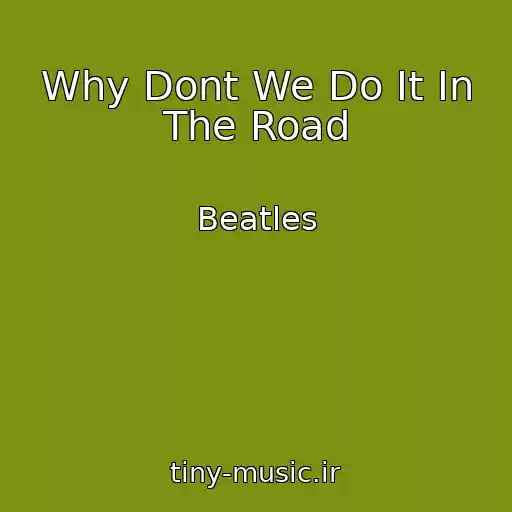 کاور آهنگ Why Dont We Do It In The Road از Beatles