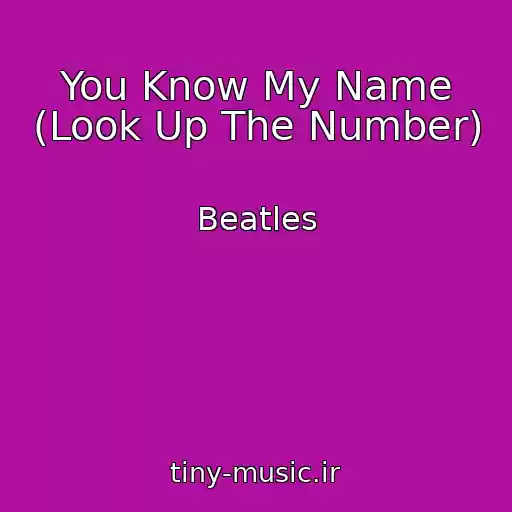 کاور آهنگ You Know My Name (Look Up The Number) از Beatles