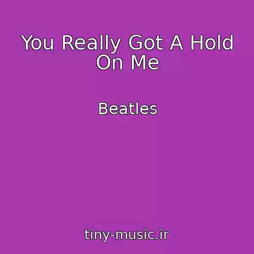 کاور آهنگ You Really Got A Hold On Me از Beatles
