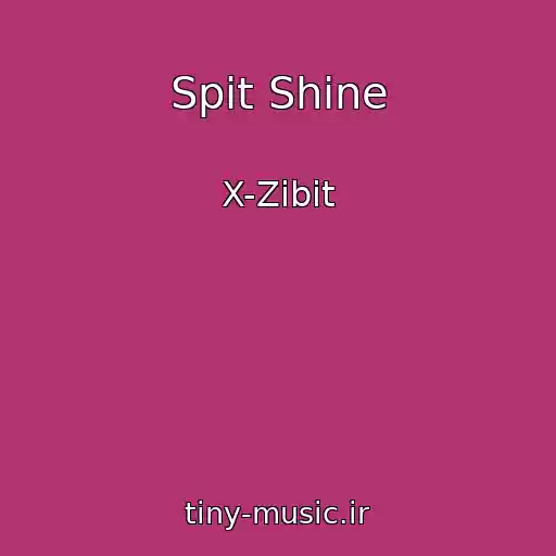 کاور آهنگ Spit Shine از X-Zibit