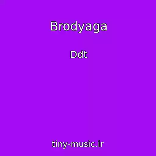 کاور آهنگ Brodyaga از Ddt