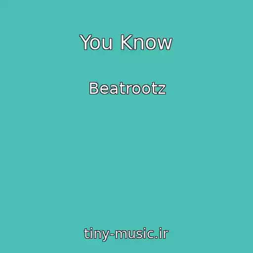 کاور آهنگ You Know از Beatrootz