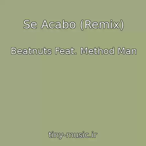 کاور آهنگ Se Acabo (Remix) از Beatnuts Feat. Method Man