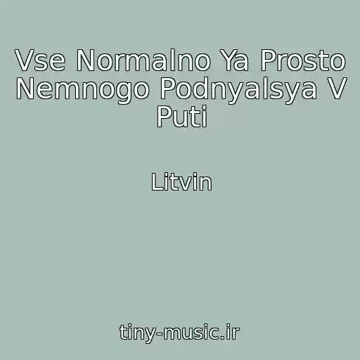 کاور آهنگ Vse Normalno Ya Prosto Nemnogo Podnyalsya V Puti از Litvin