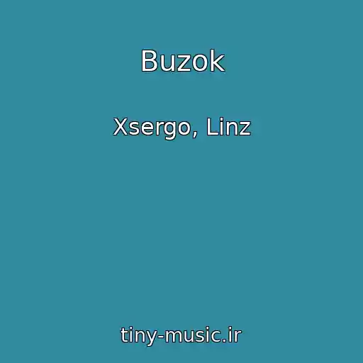 کاور آهنگ Buzok از Xsergo, Linz