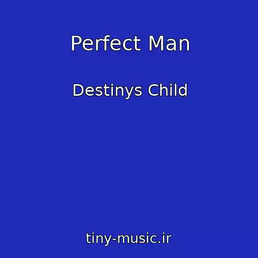 کاور آهنگ Perfect Man از Destinys Child