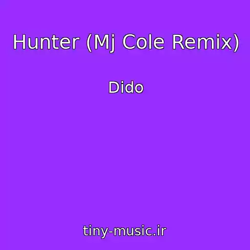 کاور آهنگ Hunter (Mj Cole Remix) از Dido