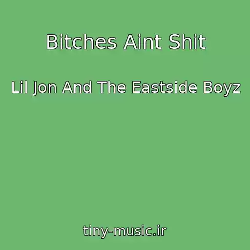 کاور آهنگ Bitches Aint Shit از Lil Jon And The Eastside Boyz