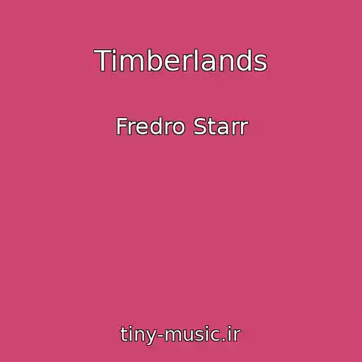 کاور آهنگ Timberlands از Fredro Starr