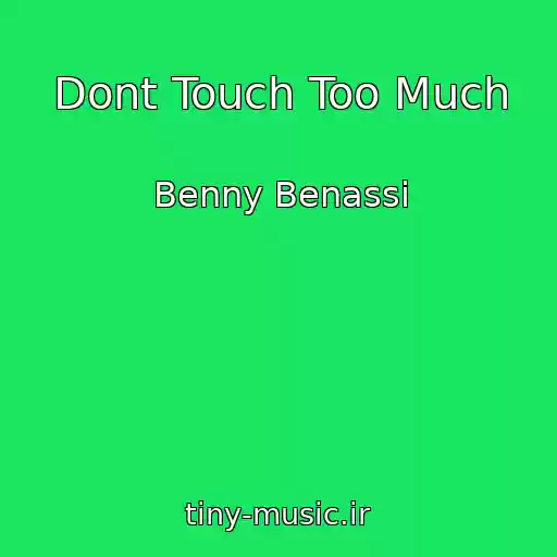 کاور آهنگ Dont Touch Too Much از Benny Benassi