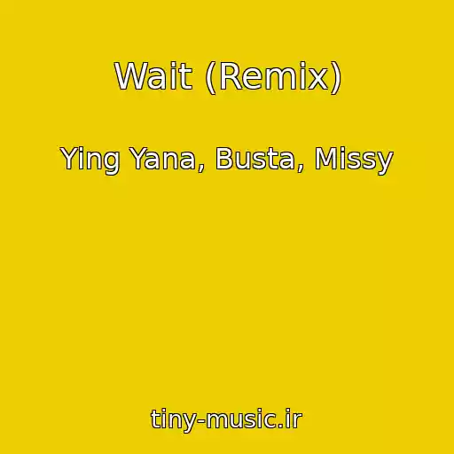 کاور آهنگ Wait (Remix) از Ying Yana, Busta, Missy