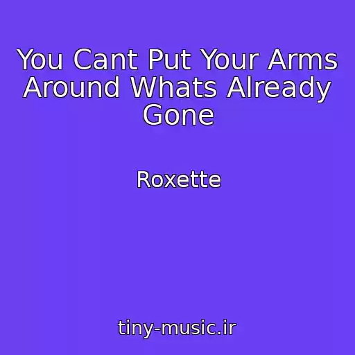 کاور آهنگ You Cant Put Your Arms Around Whats Already Gone از Roxette