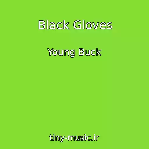 کاور آهنگ Black Gloves از Young Buck