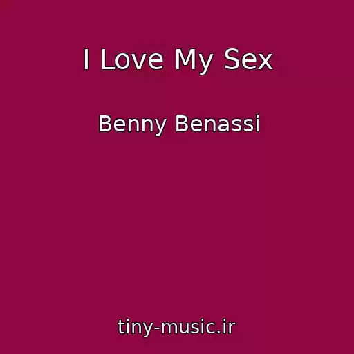 کاور آهنگ I Love My Sex از Benny Benassi