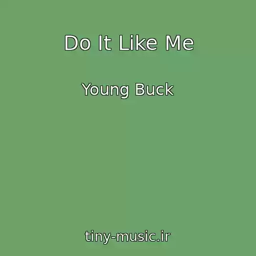کاور آهنگ Do It Like Me از Young Buck