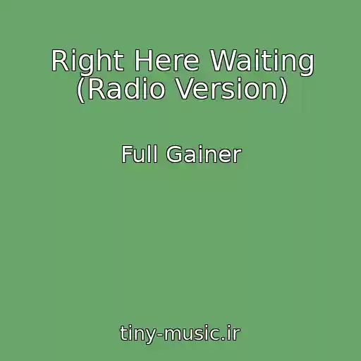 کاور آهنگ Right Here Waiting (Radio Version) از Full Gainer