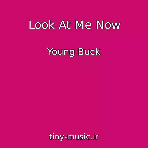 کاور آهنگ Look At Me Now از Young Buck