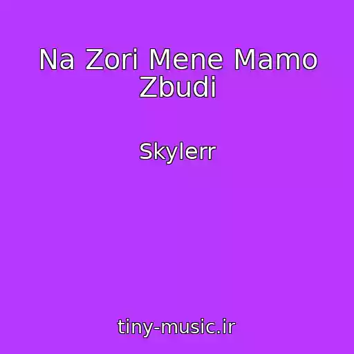 کاور آهنگ Na Zorі Mene Mamo Zbudi از Skylerr