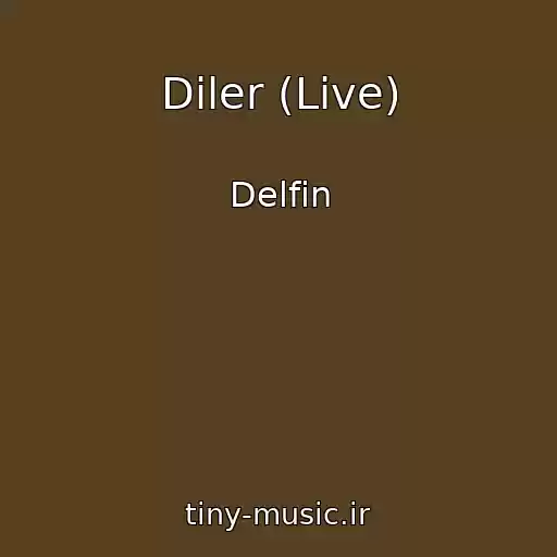 کاور آهنگ Diler (Live) از Delfin