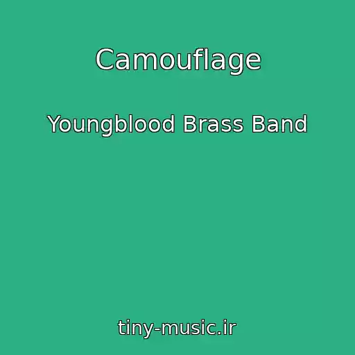 کاور آهنگ Camouflage از Youngblood Brass Band