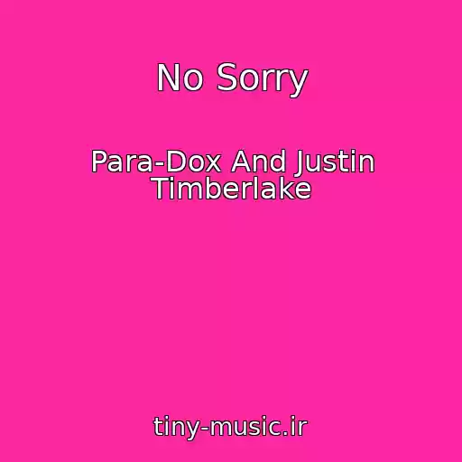 کاور آهنگ No Sorry از Para-Dox And Justin Timberlake